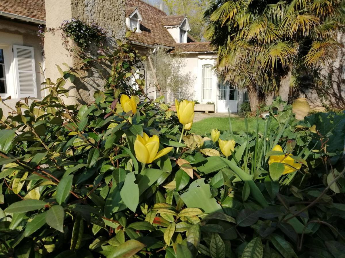 Chambres Et Tables D'Hotes Du Puits D'Athie Appoigny Buitenkant foto